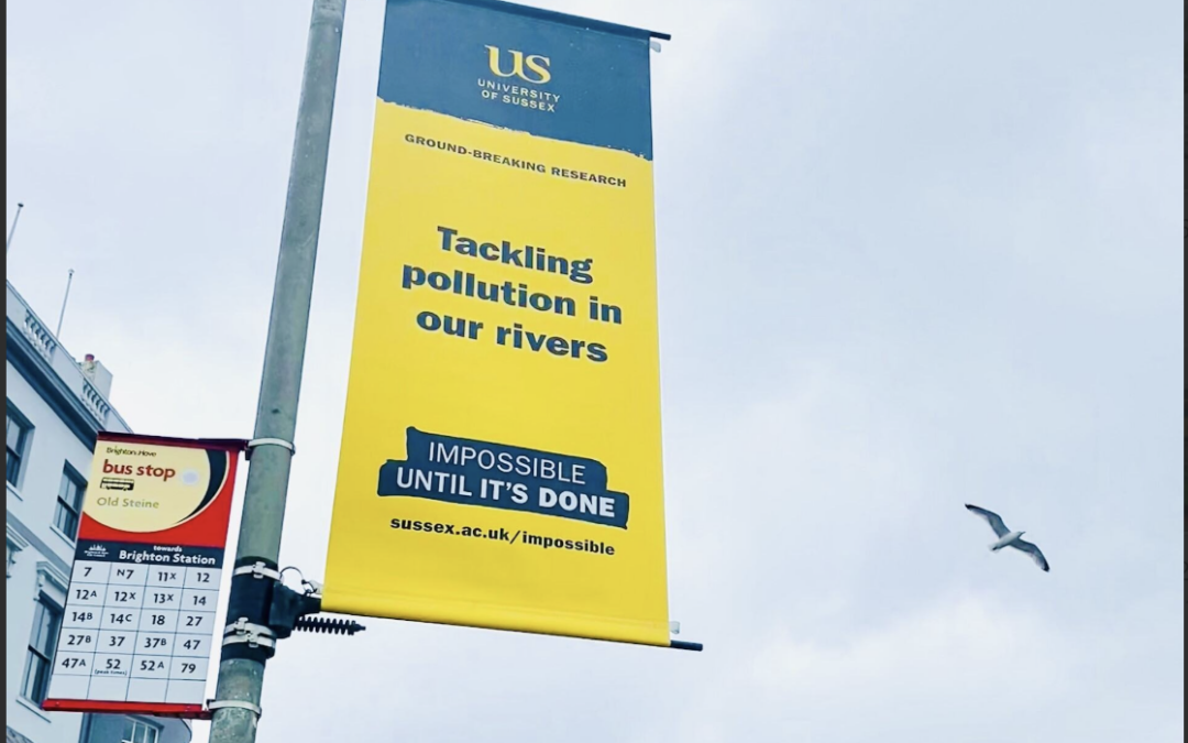 University of Sussex Civic Engagement campaign